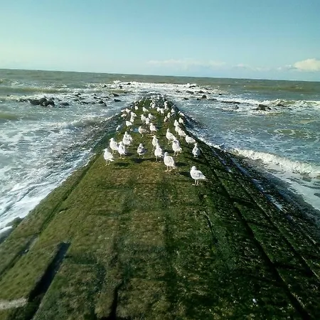 Maurdy מידלקרק